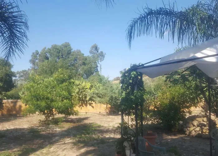 La collina delle ginestre